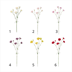 UK Karafiát trs 68cm mix - velkoobchod, dovoz květin, řezané květiny Brno