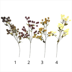 UK Bodláček větev podzim 90 cm mix - velkoobchod, dovoz květin, řezané květiny Brno