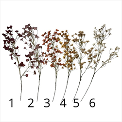 UK Opuč větev podzim 90cm mix - velkoobchod, dovoz květin, řezané květiny Brno