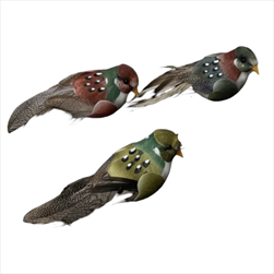 DO Ptáček z peří na klipu 9x3cm S/3 mix - velkoobchod, dovoz květin, řezané květiny Brno