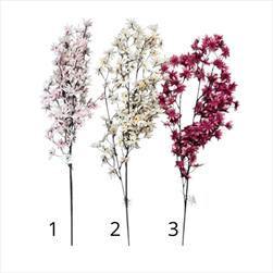 UK Magnolie hvězdicová 110cm  - velkoobchod, dovoz květin, řezané květiny Brno