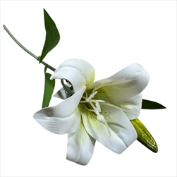 UK Lilie květ+ poupě 45 cm bílá - velkoobchod, dovoz květin, řezané květiny Brno