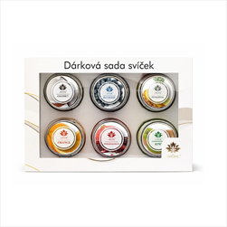 Sv svíčka s přáním 28 g FRUIT set 6ks - velkoobchod, dovoz květin, řezané květiny Brno