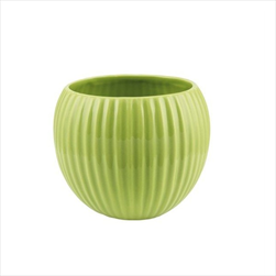 Obal pr. 16/v. 13,5 cm zelený - velkoobchod, dovoz květin, řezané květiny Brno