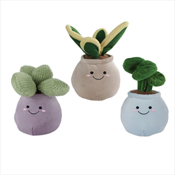 Květina plyšová 18-22 cm 3 druhy - velkoobchod, dovoz květin, řezané květiny Brno