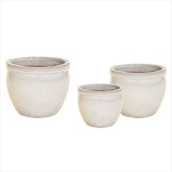 Glazed Delta Rim White S3 D21/38H16/31 - velkoobchod, dovoz květin, řezané květiny Brno