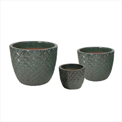 Glazed Egg Pineapple Celadon S3 D22/38H18/30 - velkoobchod, dovoz květin, řezané květiny Brno