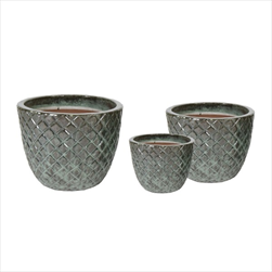 Glazed Egg Pineapple Moss green S3 D22/38H18/30 - velkoobchod, dovoz květin, řezané květiny Brno