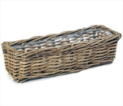 Truhlík kubu ratan 60x16cm - velkoobchod, dovoz květin, řezané květiny Brno