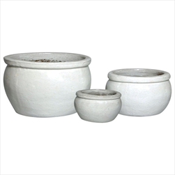 Glazed Bavaria White S3 D26/47 H17/28 - velkoobchod, dovoz květin, řezané květiny Brno