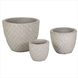 Glazed Egg Pineapple white S3 D22/38H18/30 - velkoobchod, dovoz květin, řezané květiny Brno