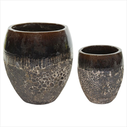 Antique 2Tone Belly Vulcano S2 D34/48H38/53 - velkoobchod, dovoz květin, řezané květiny Brno