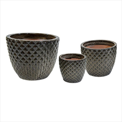 Glazed Egg Pineapple Falling brown S3 D22/38H18/30 - velkoobchod, dovoz květin, řezané květiny Brno