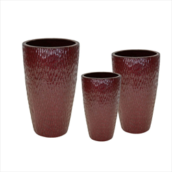 Obal Noble Notch Oxblood S3 D31/46H53/79 - velkoobchod, dovoz květin, řezané květiny Brno