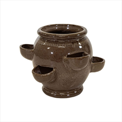 Obal Noble Strawberry Macchiatto D48H38 - velkoobchod, dovoz květin, řezané květiny Brno