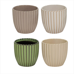 Obal Pacific Rib Egg mix D16H16 - velkoobchod, dovoz květin, řezané květiny Brno