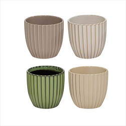 Obal Pacific Rib Egg mix D14H14 - velkoobchod, dovoz květin, řezané květiny Brno