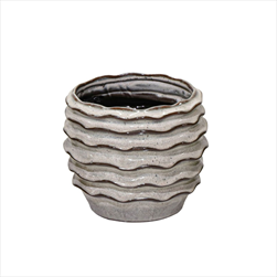 Obal Boheme Wave cream D13H11 - velkoobchod, dovoz květin, řezané květiny Brno