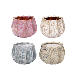 Obal Fave Callas mix D12H9 - velkoobchod, dovoz květin, řezané květiny Brno