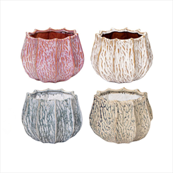 Obal Fave Callas mix D14,5H11 - velkoobchod, dovoz květin, řezané květiny Brno