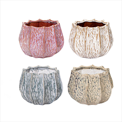 Obal Fave Callas mix D18H14 - velkoobchod, dovoz květin, řezané květiny Brno