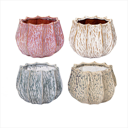 Obal Fave Callas mix D20H16 - velkoobchod, dovoz květin, řezané květiny Brno