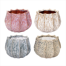 Obal Fave Callas mix D25H19 - velkoobchod, dovoz květin, řezané květiny Brno