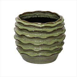 Obal Boheme Wave green D23H17 - velkoobchod, dovoz květin, řezané květiny Brno