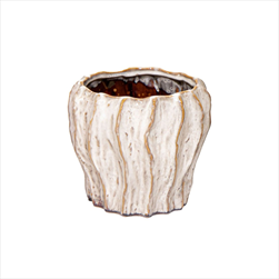 Obal Fave Fold White D10H8,5 - velkoobchod, dovoz květin, řezané květiny Brno