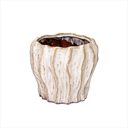 Obal Fave Fold White D12H10,5 - velkoobchod, dovoz květin, řezané květiny Brno