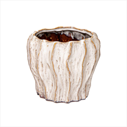 Obal Fave Fold White D15H14 - velkoobchod, dovoz květin, řezané květiny Brno