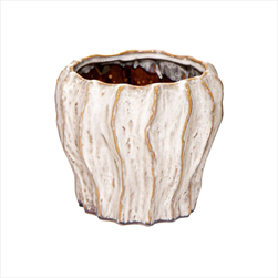 Obal Fave Fold White D23H20 - velkoobchod, dovoz květin, řezané květiny Brno