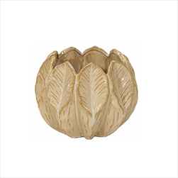 Miska Ida beige D12H9 - velkoobchod, dovoz květin, řezané květiny Brno