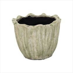 Obal Julliet Tulp green D20H16 - velkoobchod, dovoz květin, řezané květiny Brno