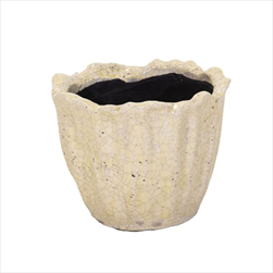 Obal Julliet Tulp yellow D20H16 - velkoobchod, dovoz květin, řezané květiny Brno