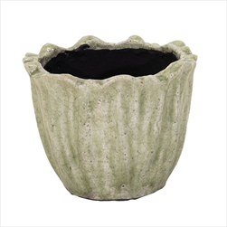 Obal Julliet Tulp green D25H20 - velkoobchod, dovoz květin, řezané květiny Brno