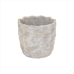 Obal Rivoli White D9H8 - velkoobchod, dovoz květin, řezané květiny Brno