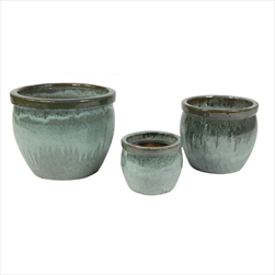 Glazurový Obal Delta Rim Moss green S3 P21/38V16/31 - velkoobchod, dovoz květin, řezané květiny Brno