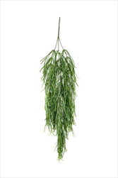 Uk Rhipsalis vine X3/80cm green - velkoobchod, dovoz květin, řezané květiny Brno