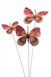 Uk motýlci X3/60cm oranžovo-růžová - velkoobchod, dovoz květin, řezané květiny Brno