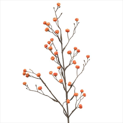 Uk větev eonymus 68 cm oranžová - velkoobchod, dovoz květin, řezané květiny Brno