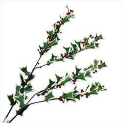 Uk cesmína 130 cm zeleno-bílá - velkoobchod, dovoz květin, řezané květiny Brno