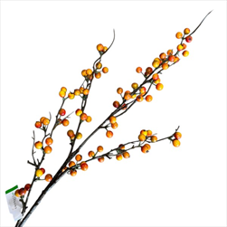 Uk větev ilex 90 cm oranžová - velkoobchod, dovoz květin, řezané květiny Brno