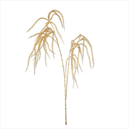 Uk amaranthus X2 stříbrnozlatý - velkoobchod, dovoz květin, řezané květiny Brno