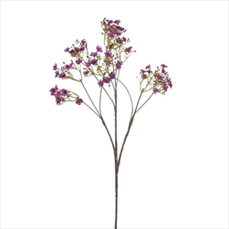 Uk gypsophilla 68 cm fialová - velkoobchod, dovoz květin, řezané květiny Brno