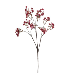 Uk gypsophilla 68 cm růžová - velkoobchod, dovoz květin, řezané květiny Brno