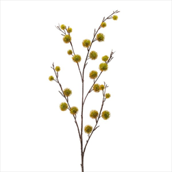 Uk kaštan 105 cm zelený - velkoobchod, dovoz květin, řezané květiny Brno