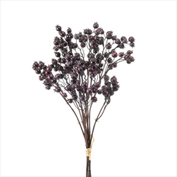 Uk bobule X3/60 cm fialové - velkoobchod, dovoz květin, řezané květiny Brno