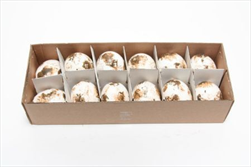 Vajíčka reálná 12ks/6cm - velkoobchod, dovoz květin, řezané květiny Brno