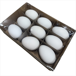 Vejce husí 9ks natural bílá - velkoobchod, dovoz květin, řezané květiny Brno